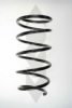 SPIDAN 56251 Coil Spring